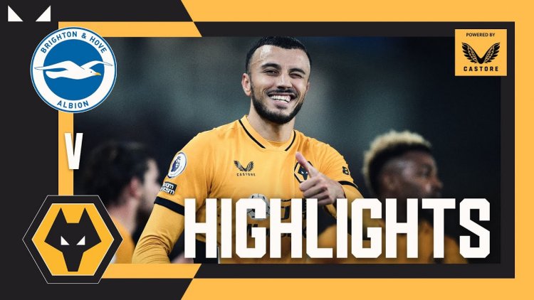 Premier League: Brighton 0 - 1 Wolves (2021-2022)