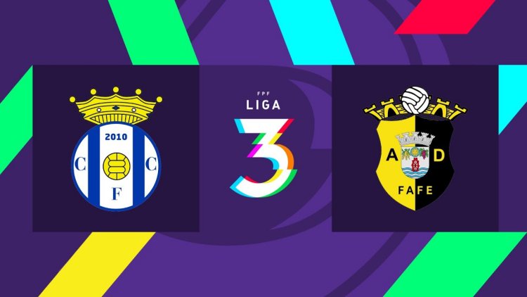 Futebol 365