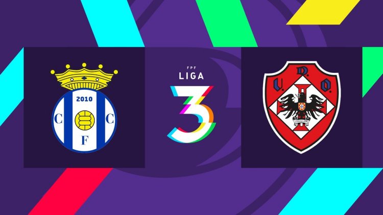 Futebol 365