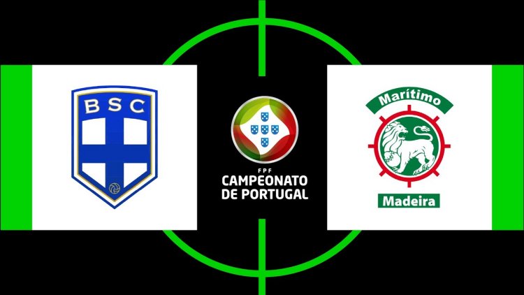 Futebol 365