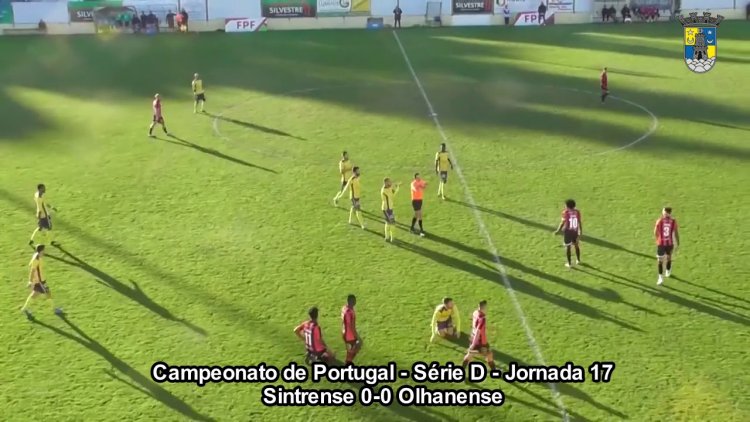 Futebol 365