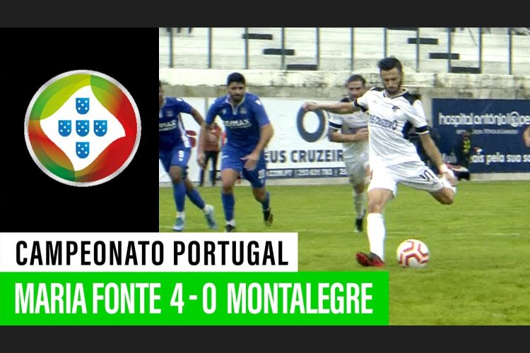 Futebol 365