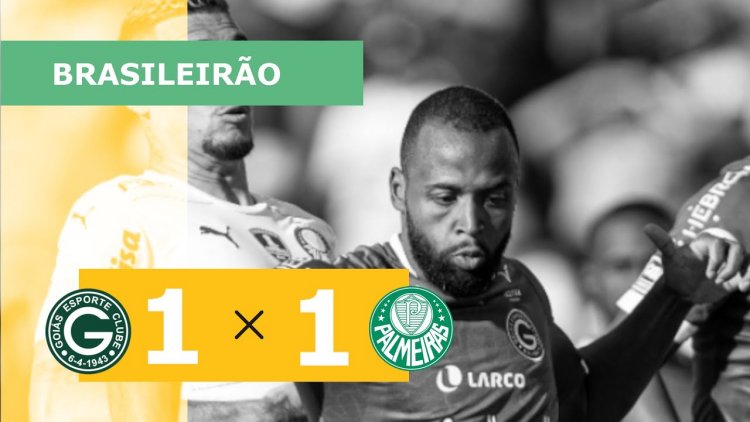 Futebol 365