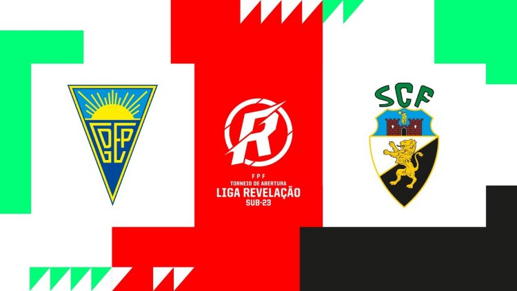 Futebol 365