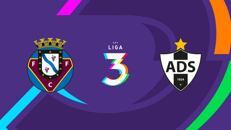 Futebol 365