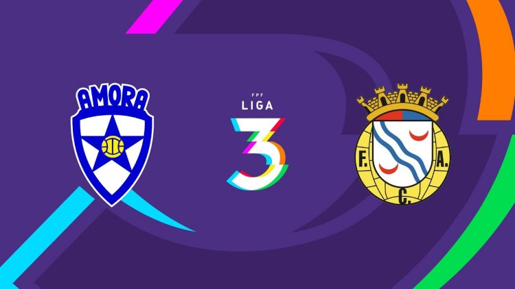 Futebol 365