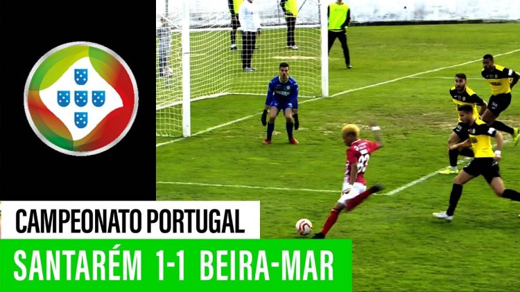 Futebol 365