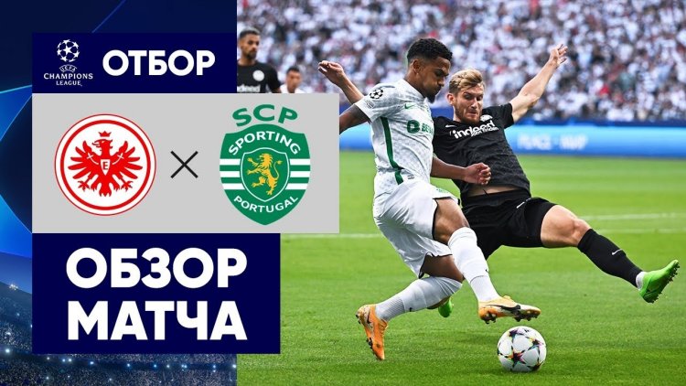 Futebol 365