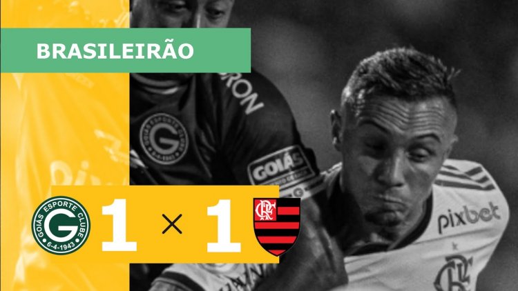 Futebol 365