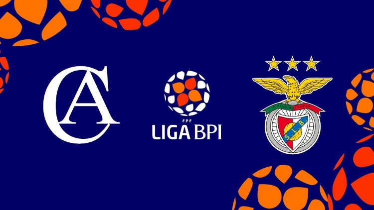 Futebol 365