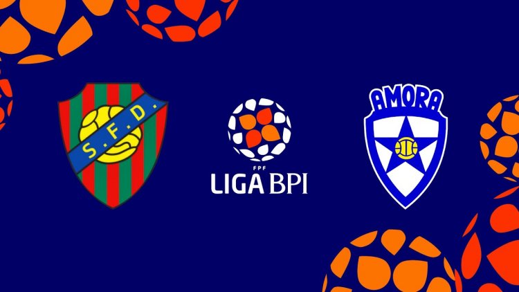 Futebol 365