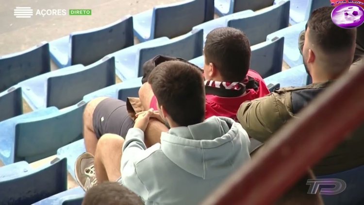 Futebol 365