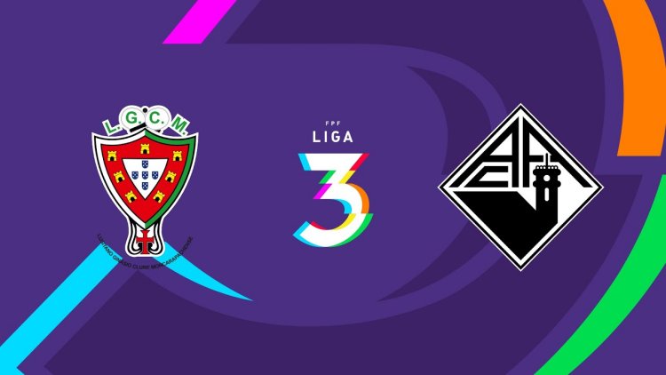 Futebol 365