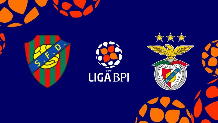 Futebol 365