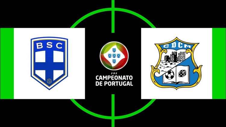 Futebol 365