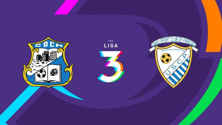 Futebol 365