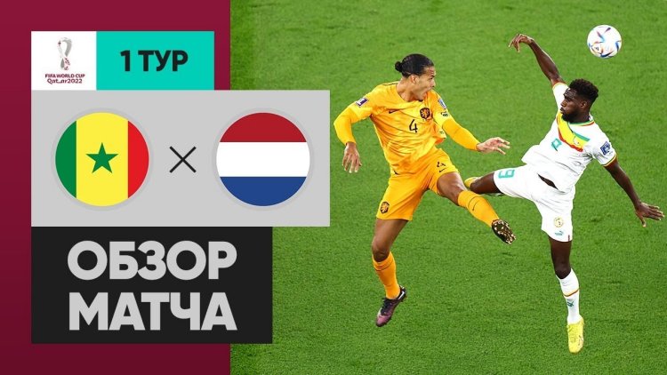 Mundial: Senegal 0 - 2 Países Baixos (2022)