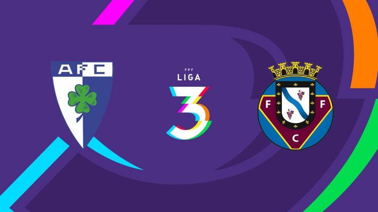 Futebol 365