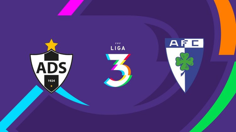 Futebol 365