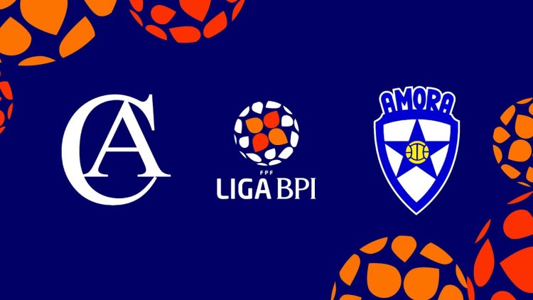 Futebol 365