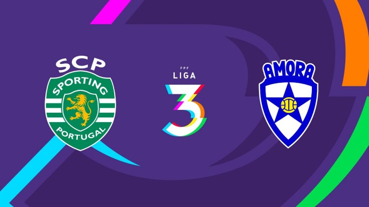 Futebol 365