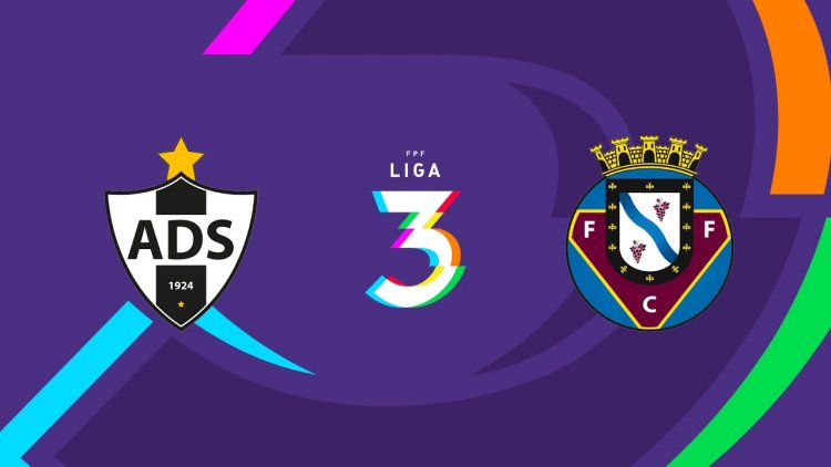 Futebol 365