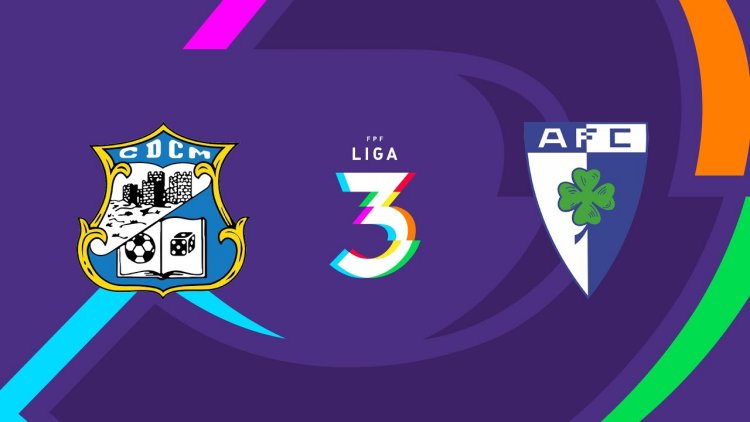 Futebol 365