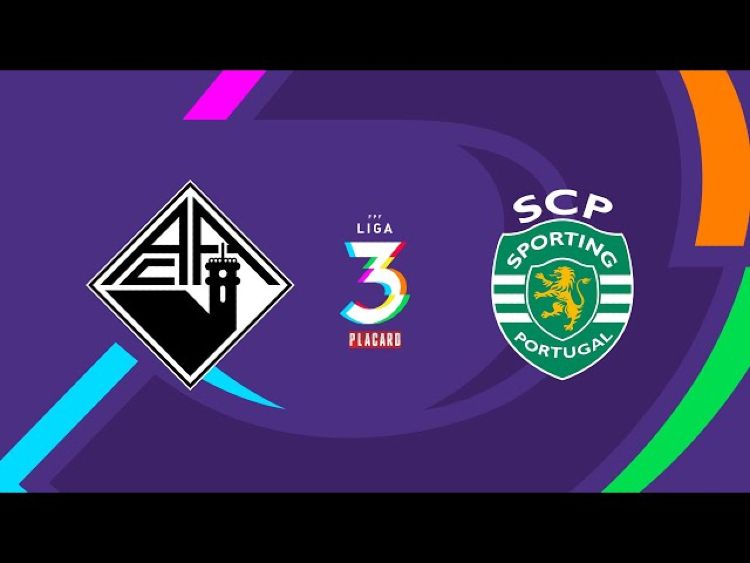 Futebol 365
