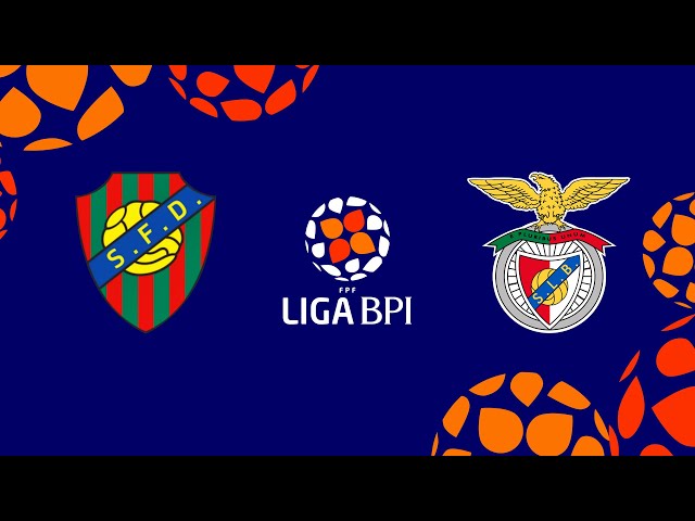 Futebol 365