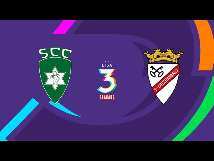 Futebol 365