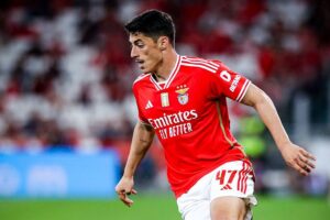"Schmidt sabe que pode tirar o Di María e meter o Tiago Gouveia"