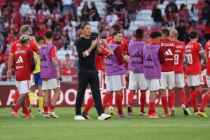"Schmidt está frágil, confuso, está fora de si. Agora começa a perceber o que é o Benfica"