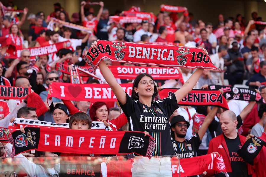 Benfica vai apresentar queixa à FPF por “tratamento vergonhoso” no Dragão