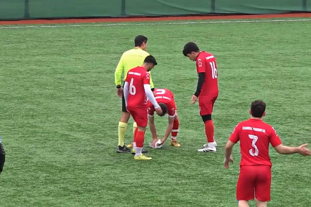 Guarda-redes atinge gaivota e jogador salva-a com massagem cardíaca