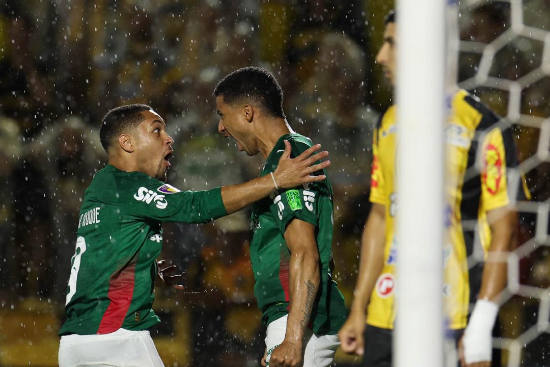 Palmeiras conquista Paulistão e faz história com Abel Ferreira