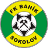 Banik Sokolov