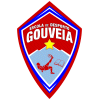 Assoc. Gaudella