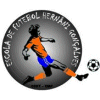 Hernani Gonçalves