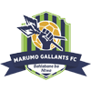 Marumo Gallants